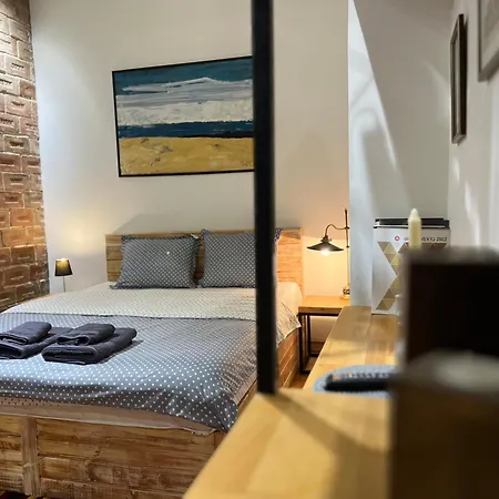 公寓 Loft-style On Virmenska Str *