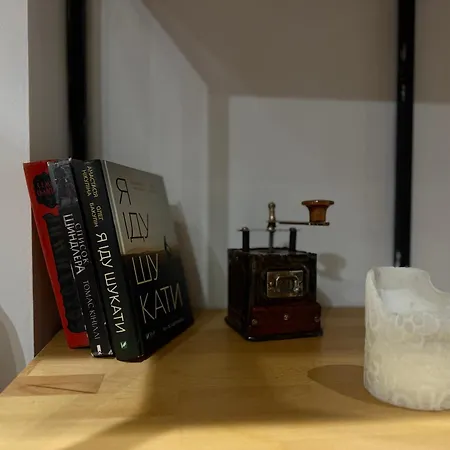 公寓 Loft-style On Virmenska Str 利沃夫